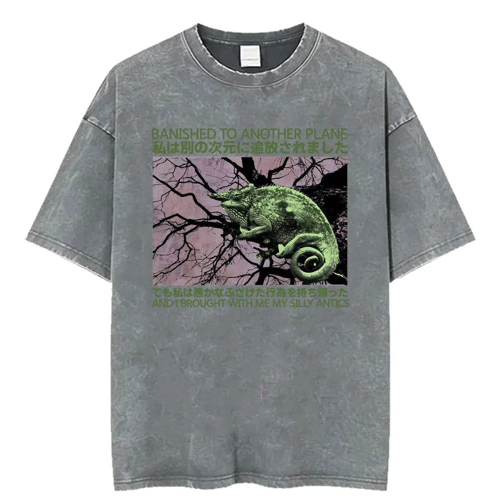Unisex Funny Cat Graphic T-Shirt – Vintage Japanese-Style Washed Tee | Oversized Casual Streetwear